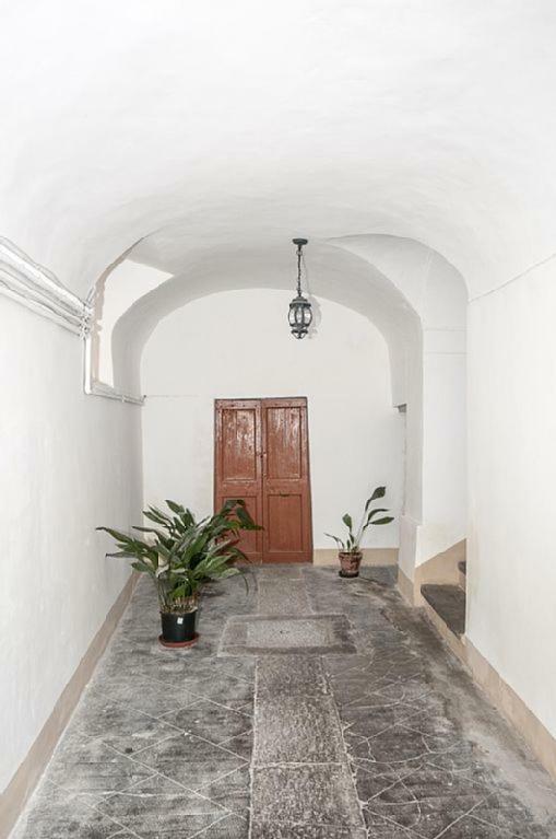 Апартаменты Casa Maria E Casa Cristina Орвието Экстерьер фото